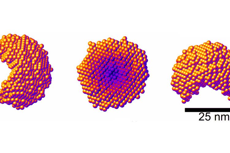 Visualização por raios X auxilia desenvolvimento de vacina oral da hepatite B